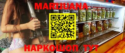 крисы Краснодар